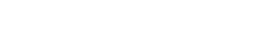 Logo Mercari Selection